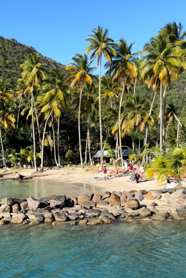 Casa Del Vega A Little Peace Of Heaven Hotell Castries Exteriör bild