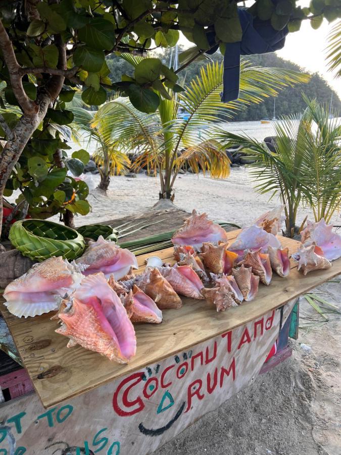 Casa Del Vega A Little Peace Of Heaven Hotell Castries Exteriör bild