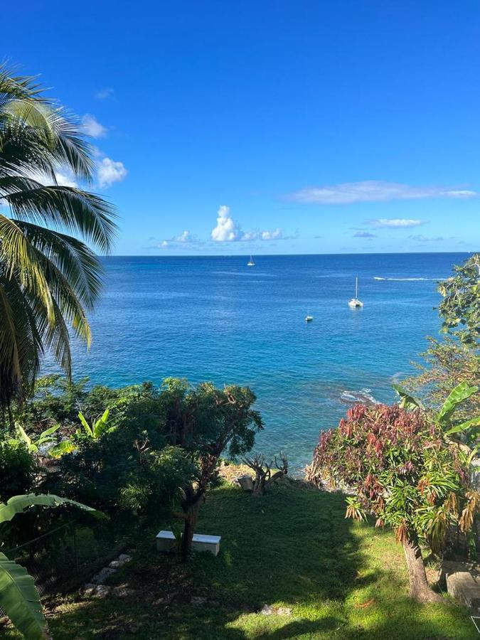 Casa Del Vega A Little Peace Of Heaven Hotell Castries Exteriör bild