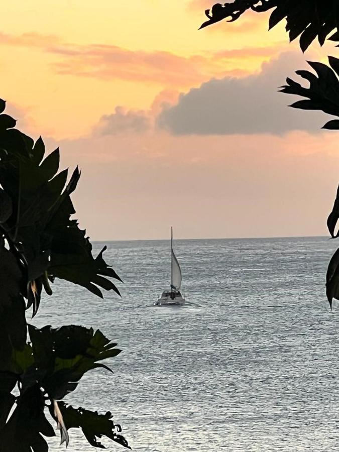 Casa Del Vega A Little Peace Of Heaven Hotell Castries Exteriör bild