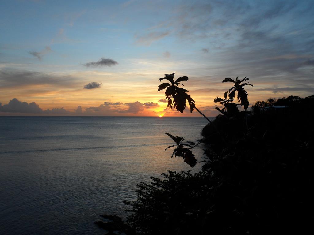 Casa Del Vega A Little Peace Of Heaven Hotell Castries Rum bild