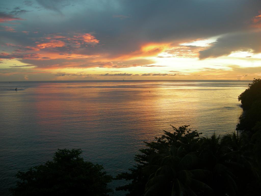 Casa Del Vega A Little Peace Of Heaven Hotell Castries Rum bild