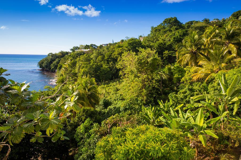 Casa Del Vega A Little Peace Of Heaven Hotell Castries Exteriör bild