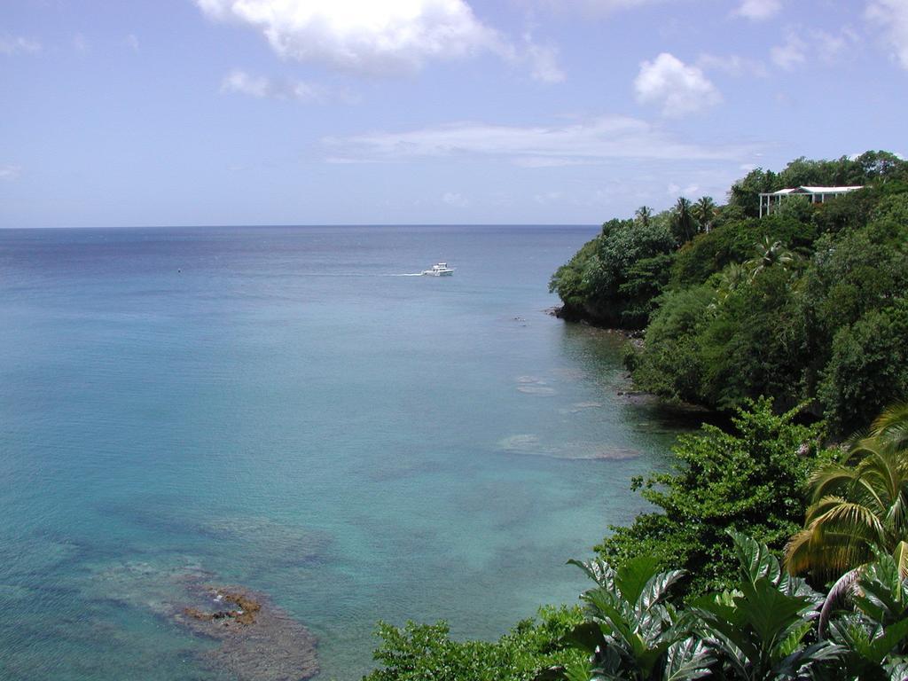 Casa Del Vega A Little Peace Of Heaven Hotell Castries Rum bild