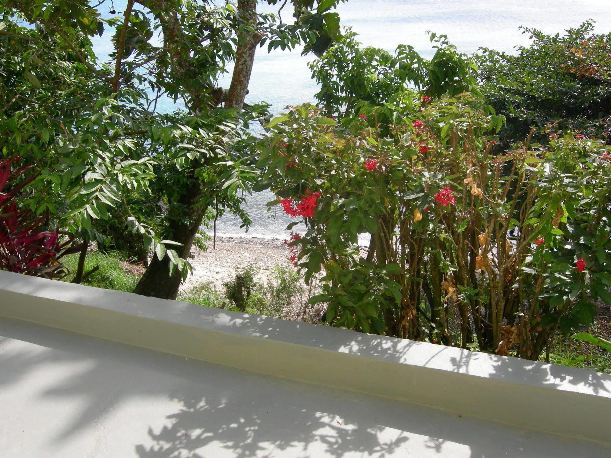 Casa Del Vega A Little Peace Of Heaven Hotell Castries Exteriör bild