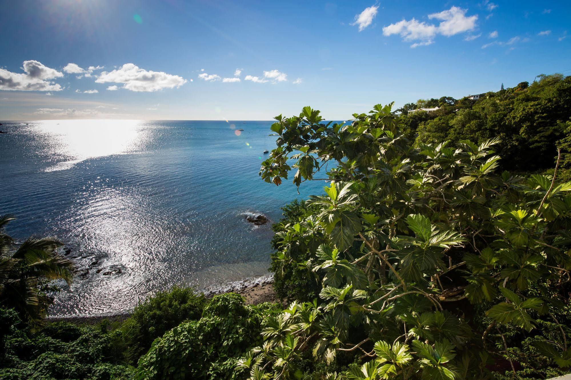 Casa Del Vega A Little Peace Of Heaven Hotell Castries Exteriör bild